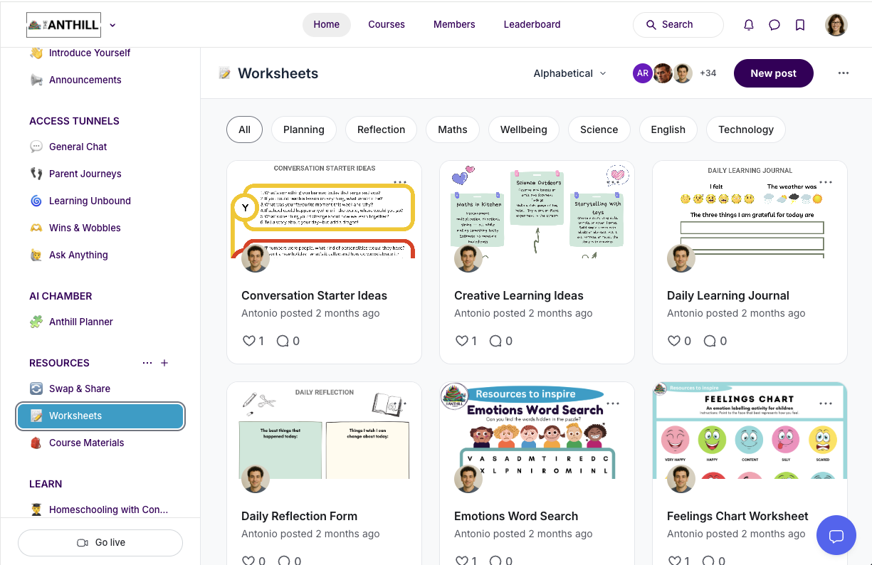 The Anthill Community platform interface